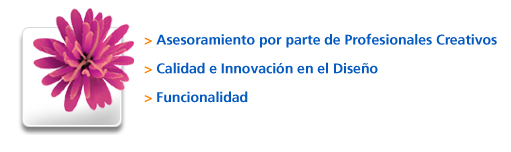 diseno web de calidad